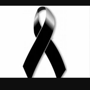 Meet your Posher, Perla